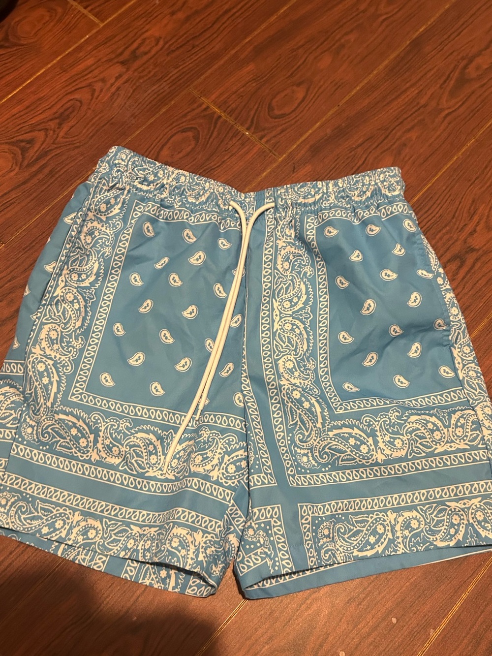 SHEIN Blue Bandana-Pattern Men's Swim Trunks